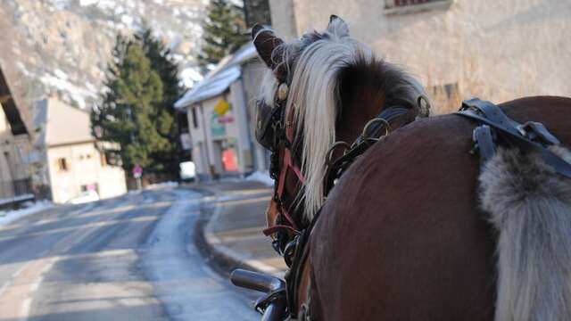 Balade en calèche