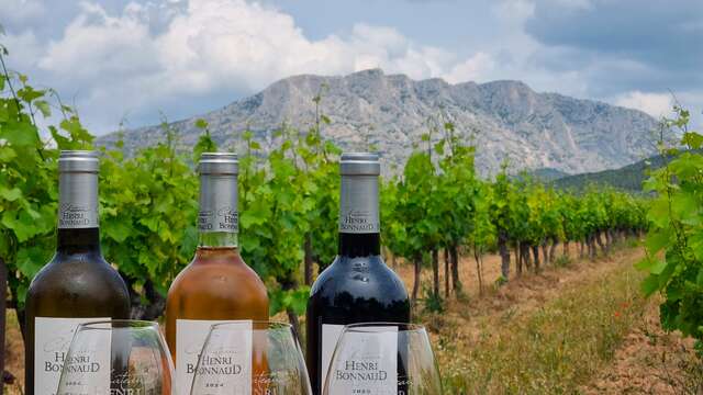 Château Henri Bonnaud