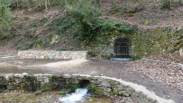 SAINT-ZACHARIE - La forêt du Défens par la piste de l'eau