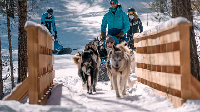 Les nocturnes chiens de traineaux - ski de fond