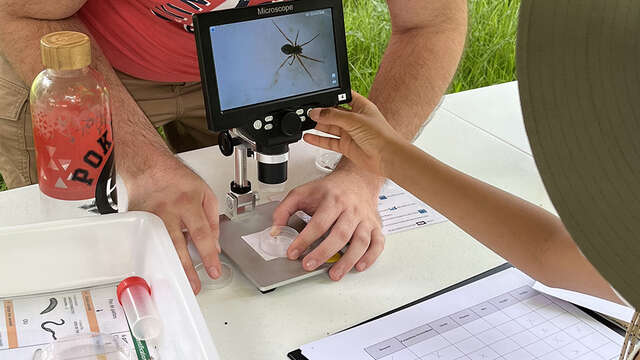 Stage jeune : Mission Lab’Nature, exploration du labo au terrain