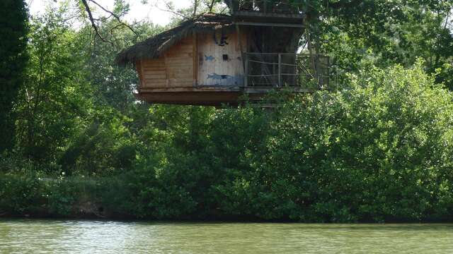 Cabane perchée (Oiseaux, Pêcheurs, Lune) - DDLD