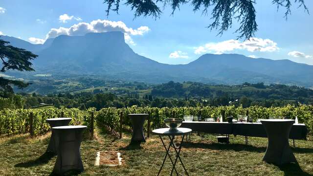 Les Apéro'Vignes en Coeur de Savoie