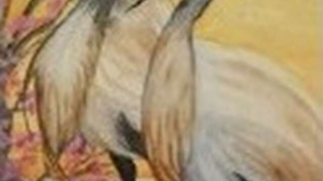 Exposition"Un regard sur les animaux sauvages" à la bibliothèque