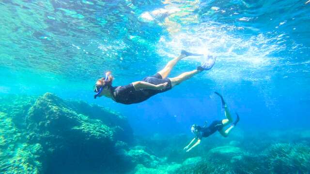 Sortie "Snorkeleur" avec Sanary Snorkeling