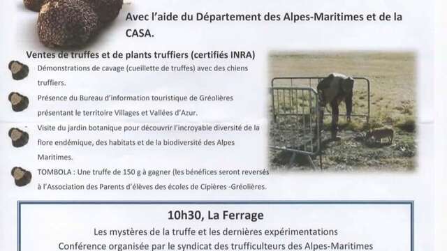 Marché aux Truffes - Gréolières