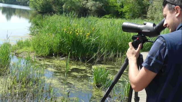 Gravière aux Oiseaux - Week-end observation