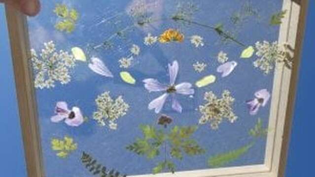 Atelier : Art Floral (8-13 ans) - Maison du Marais de Lavours