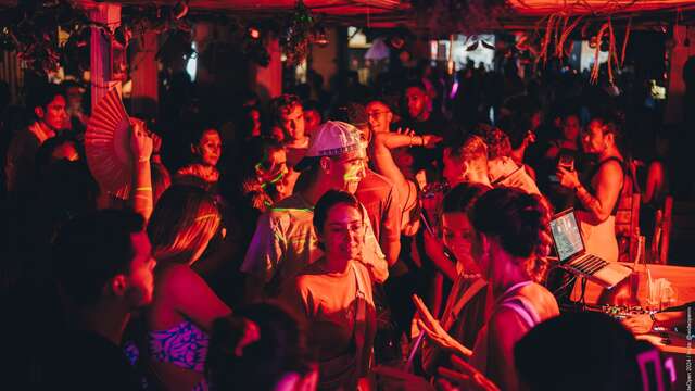 Single Fin / シングル・フィン