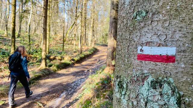 GR®7 Ligne de partage des eaux : Col Pin Bouchain / Tour Matagrin