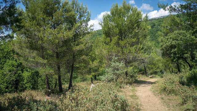 Roquevignon Departmental Nature Park