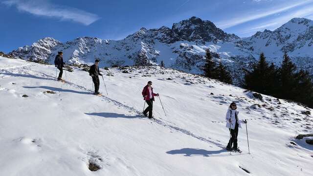Snowshoe trekking - Discovering snow-covered mountain pastures