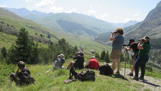 Week-end ornithologie avec SENTONA - 3 jours