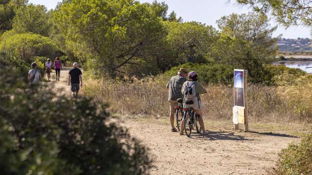 Conférence interactive pour appréhender la biodiversité