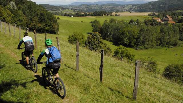 MTB trail n° 23 - Sylve Bénite Forest