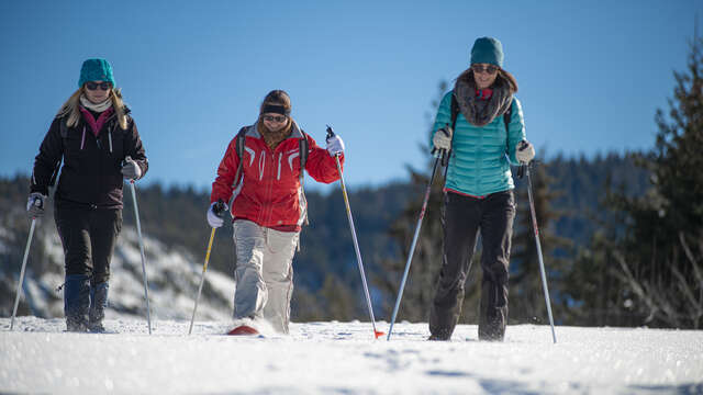Le plateau d'Iroire - Modéré 5,5km