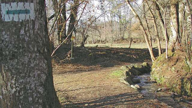 Petit circuit pédestre des Roux - 1h45 - Départ Bourg St-Martin-d'Uriage