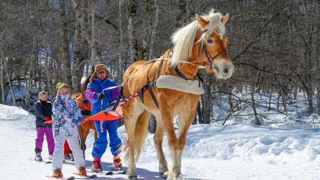 Initiation au ski-joering