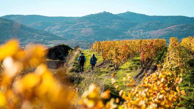 Rando itinérance douce sur le chemin de Saint-Jacques GR65