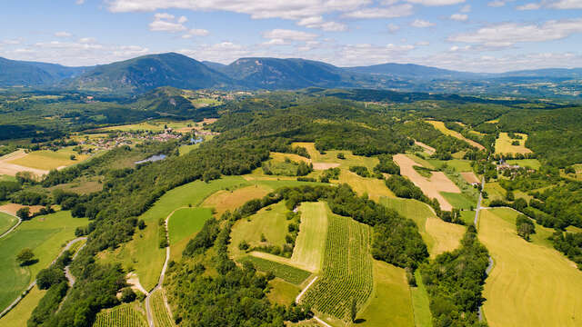 Hike in the vineyards of Marignieu