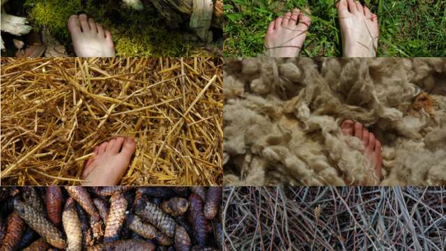 Nature and Sensory Path - Barefoot trail