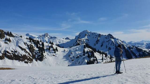 Alpes Suisse : l'échappée blanche