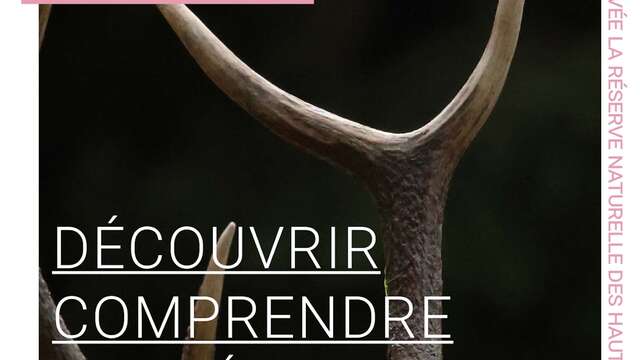 Projection du film "Au coeur du Parc naturel régional du Vercors" suivi d'un échange avec le public
