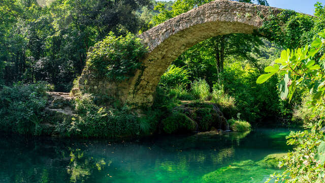 Trail - Parcours NaturaTrail du Pays de Fayence (21km)