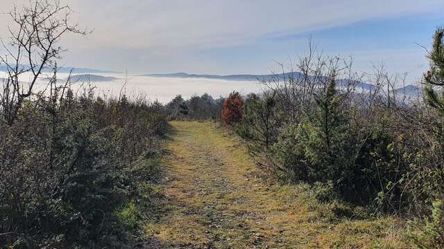 Randonnée - Belvédère du Mont de Grillerin