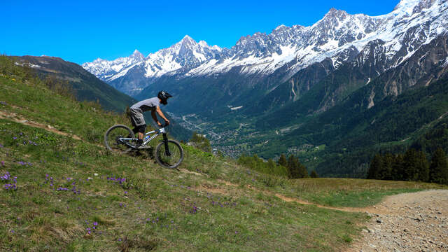 Descente VTT : Prarion - Les Houches - Alpages Respect