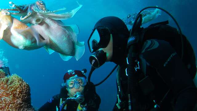 Scuba Diver training with Sanary Plongée