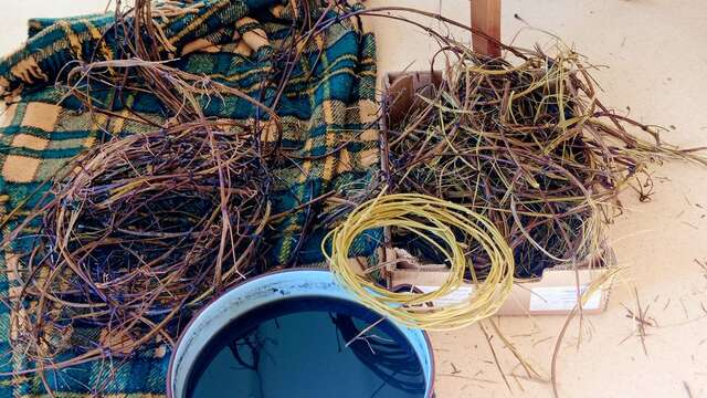 Stage de vannerie : vannerie sauvage aléatoire en clématite