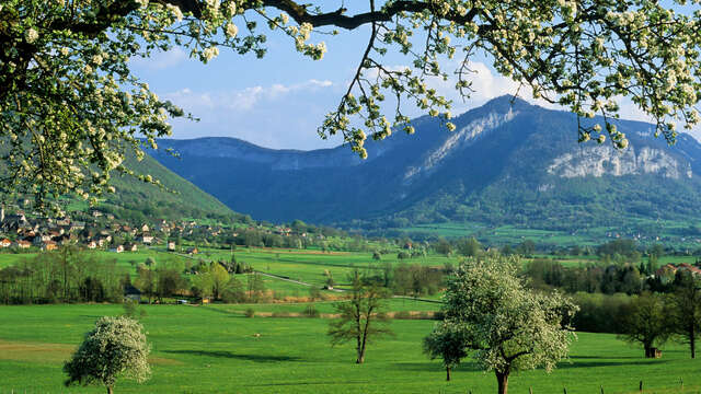 Itinéraire cyclo : Annecy / Aix les Bains