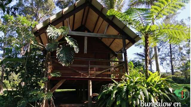 Les Bancouliers de Farino - Gîte