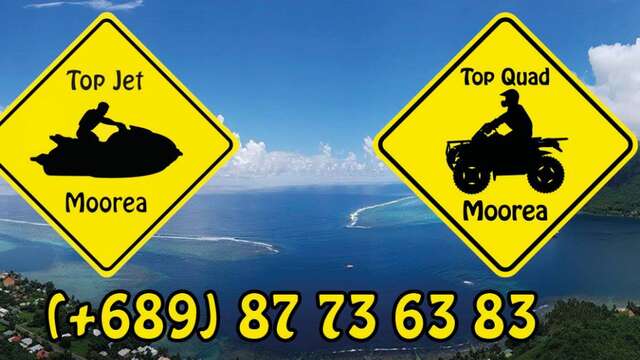 Top Jet Moorea - Whale watching tour