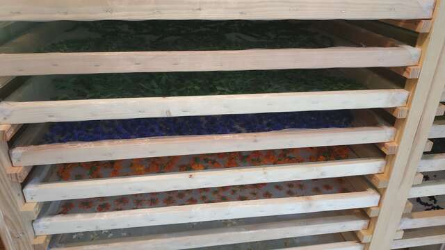 Le jardin des Shamans