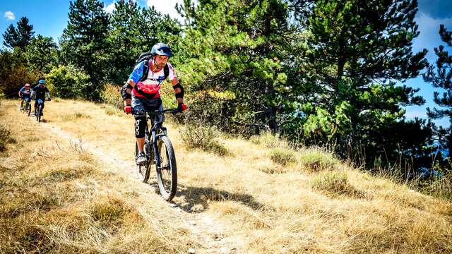 VTT n°24 - Le chemin des Oliviers