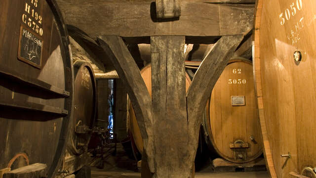 Visite et dégustation aux Caves du Château La Tour de Marignan