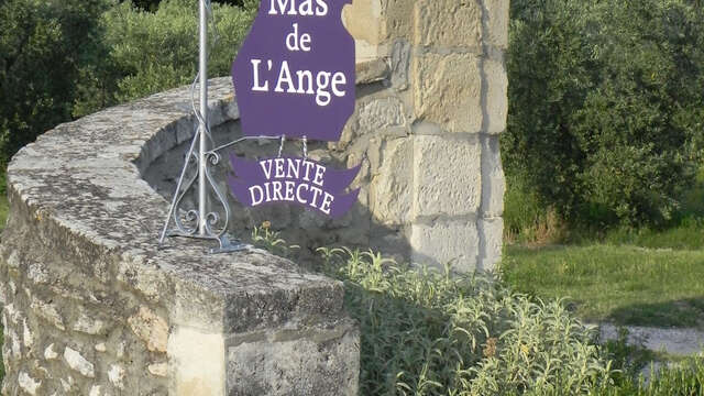 Mas de l'Ange