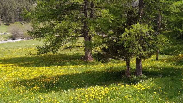 Randonnée pédestre - Boucle de Peyrafique