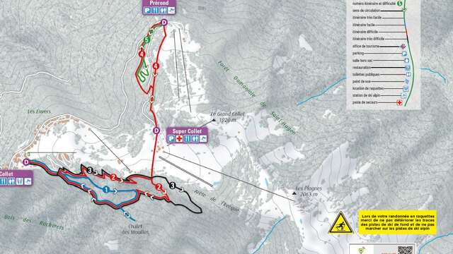Parcours raquettes au Collet