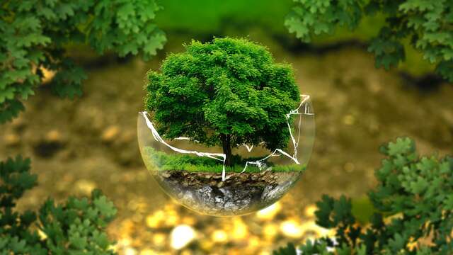 Atelier : Biodiversité en danger, du constat à l’action