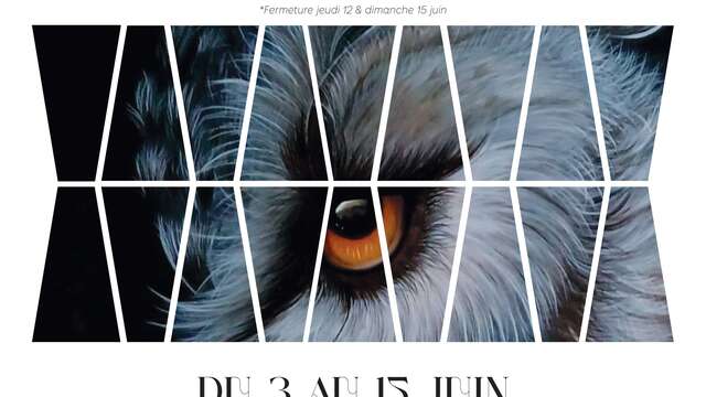 Exposition : Cathy FIX