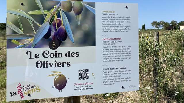Les balades ludiques du Château Boujac