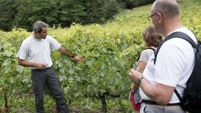 Journées du Patrimoine de Pays et des Moulins - Les secrets du vignoble de Féternes
