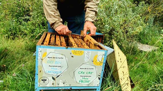Patrocinio de la colmena por L'Abeille de Ré