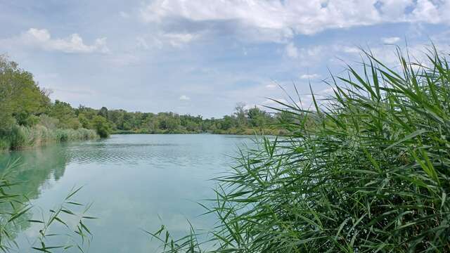 Lac de pêche de la Forestière