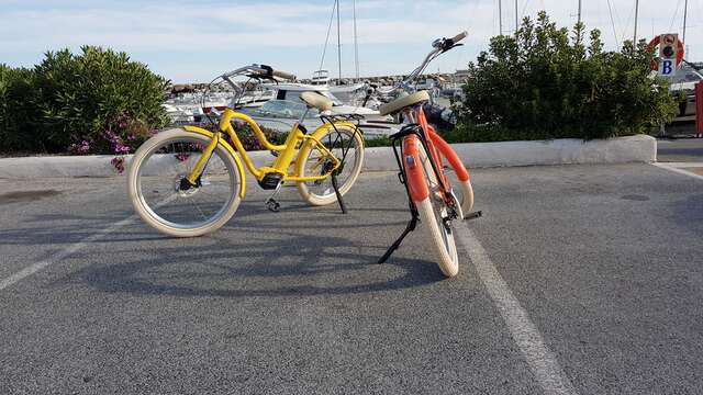 Location de vélos électriques