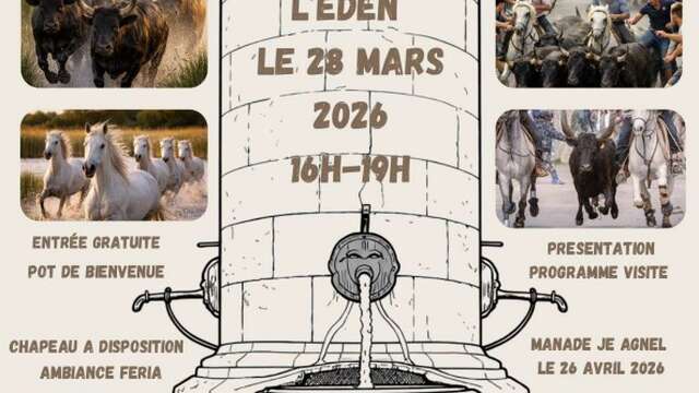 Les traditions camarguaises