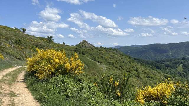 Le Trail des Saint-Martinois